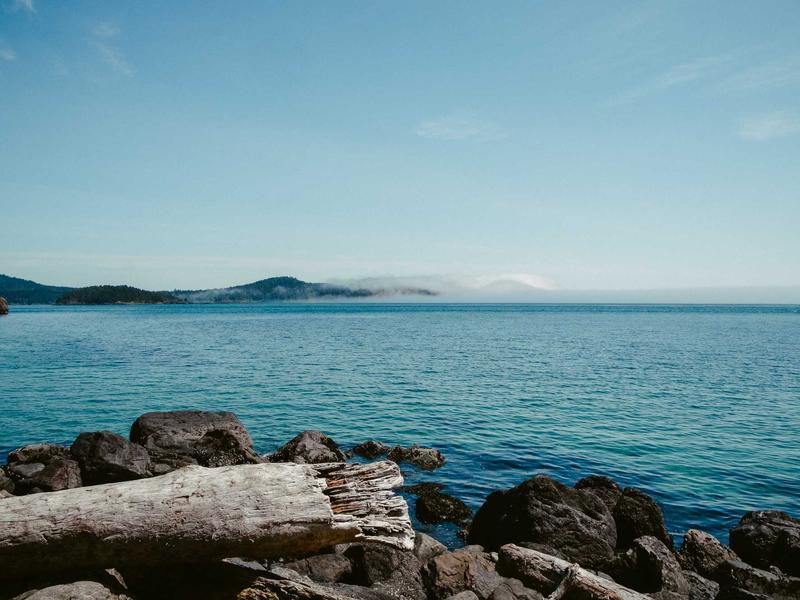 批量账号管理<br>多账号登录与风控规避
